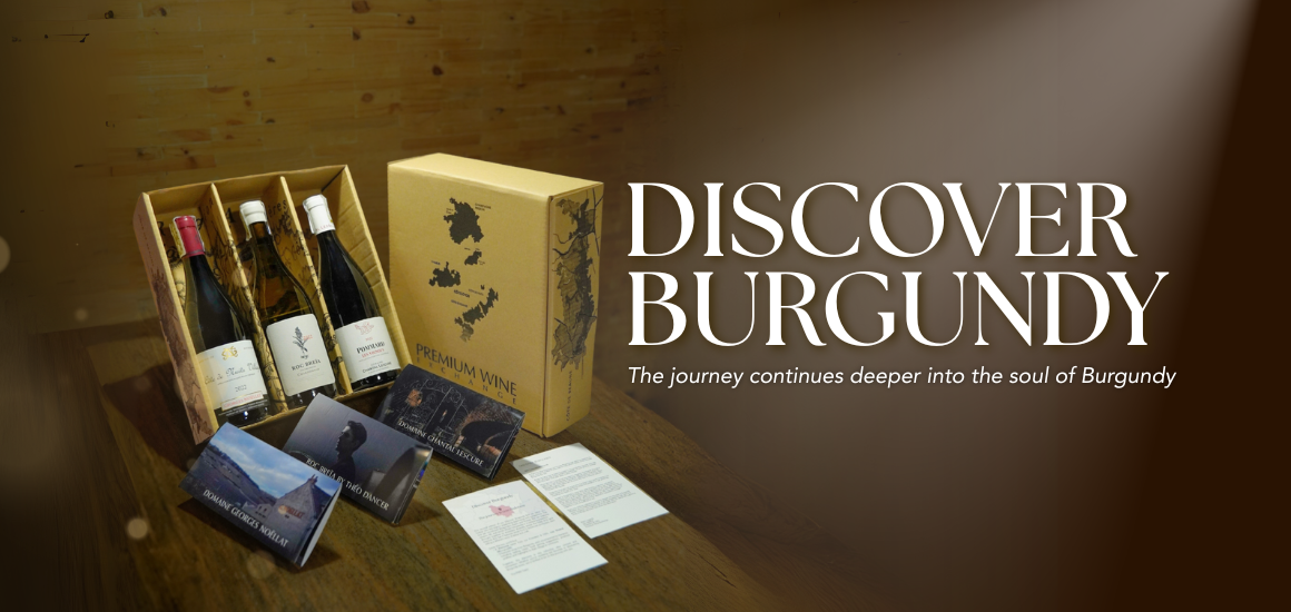discover banner