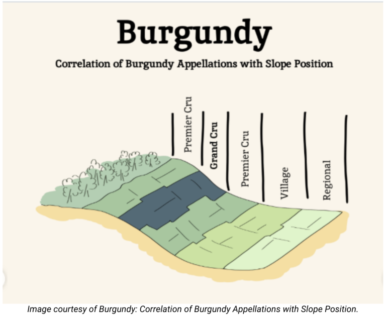 Burgundy Cru Classification System