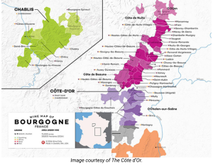 burgundy wine guide map