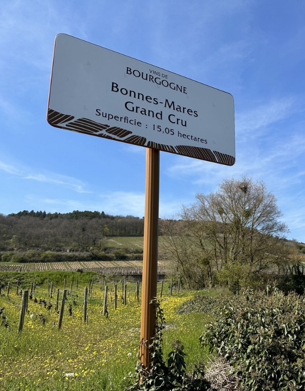 BONNE-MARES