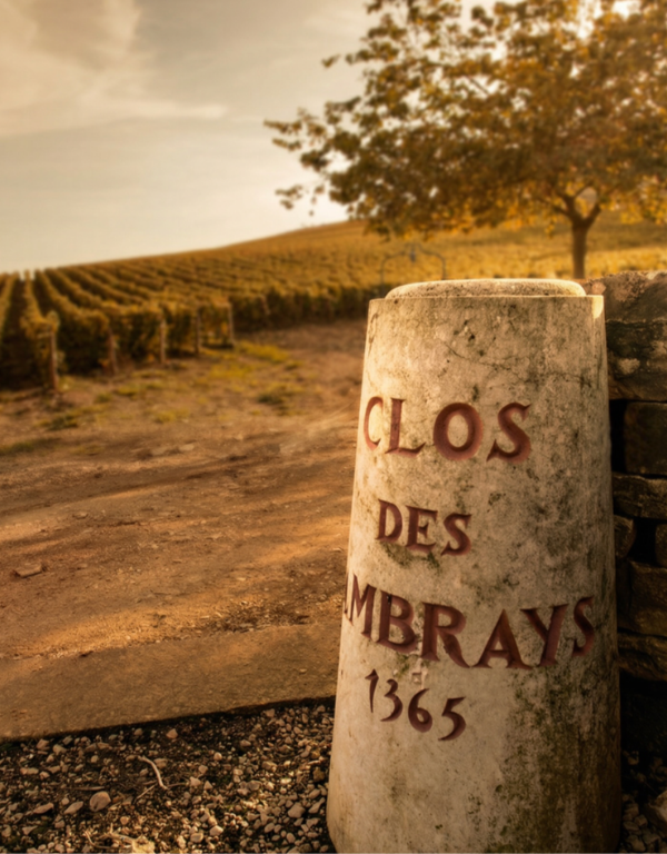 CLOS DE LAMBRAYS