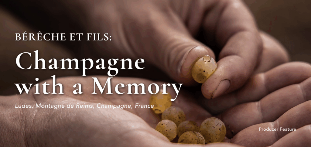 Bereche & Fils website banner
