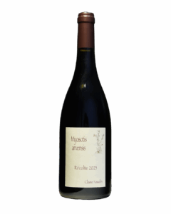 Claire Naudin Bourgogne Hautes-Côtes de Nuits Rouge Myosotis Arvensis 2023