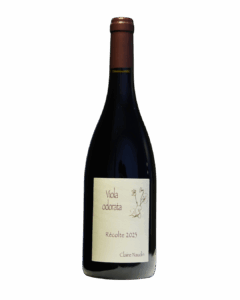Claire Naudin Côte de Nuits-Villages Viola Odorata 2023