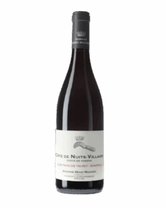 Henri Magnien, Côte de Nuits-Villages “Queue de Hareng” Clos François Thurot Monopole 2022